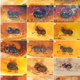 Illustration for article titled These Magnified Bug Parts Are Super Gross and You Should Look at Them